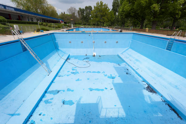 Best Basement water damage restoration  in Angustura, NM