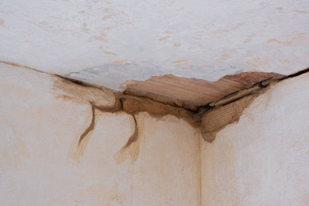 Best 24/7 water damage repair  in Angustura, NM