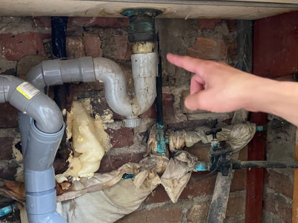 Best Flooded house restoration  in Angustura, NM