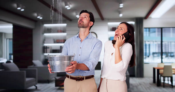 Carpet water damage restoration in NM