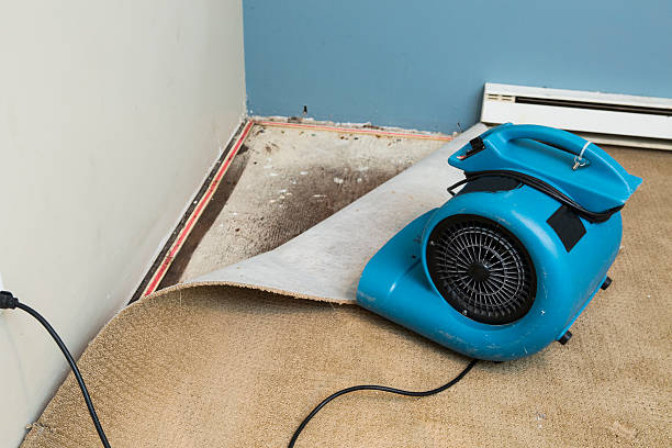 Best Fire Damage Restoration  in Angustura, NM